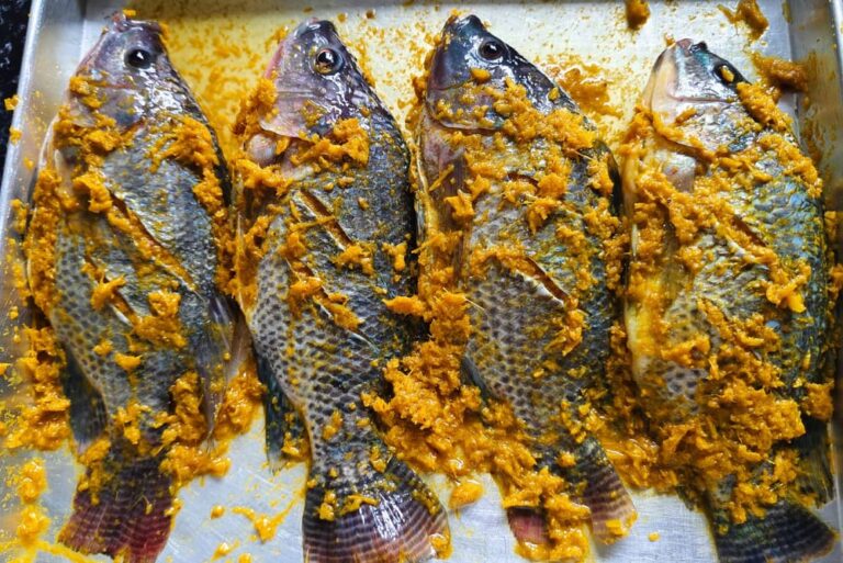 6 ikan nila bioflok bumbu kuning