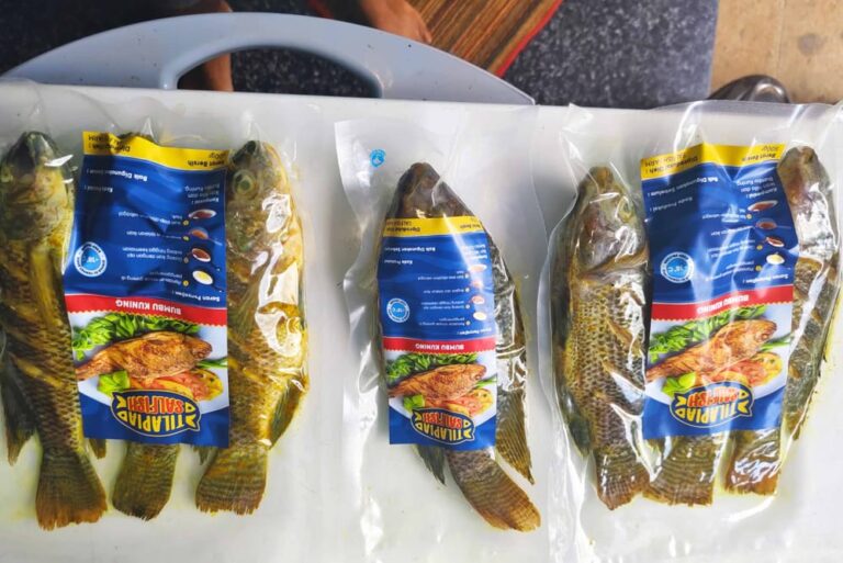 7 ikan nila bioflok frozen