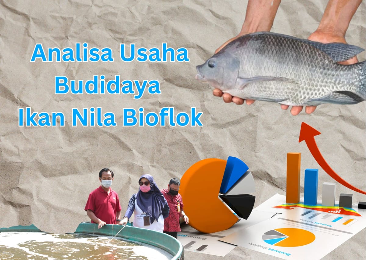 Analisa Usaha Budidaya Ikan Nila Bioflok