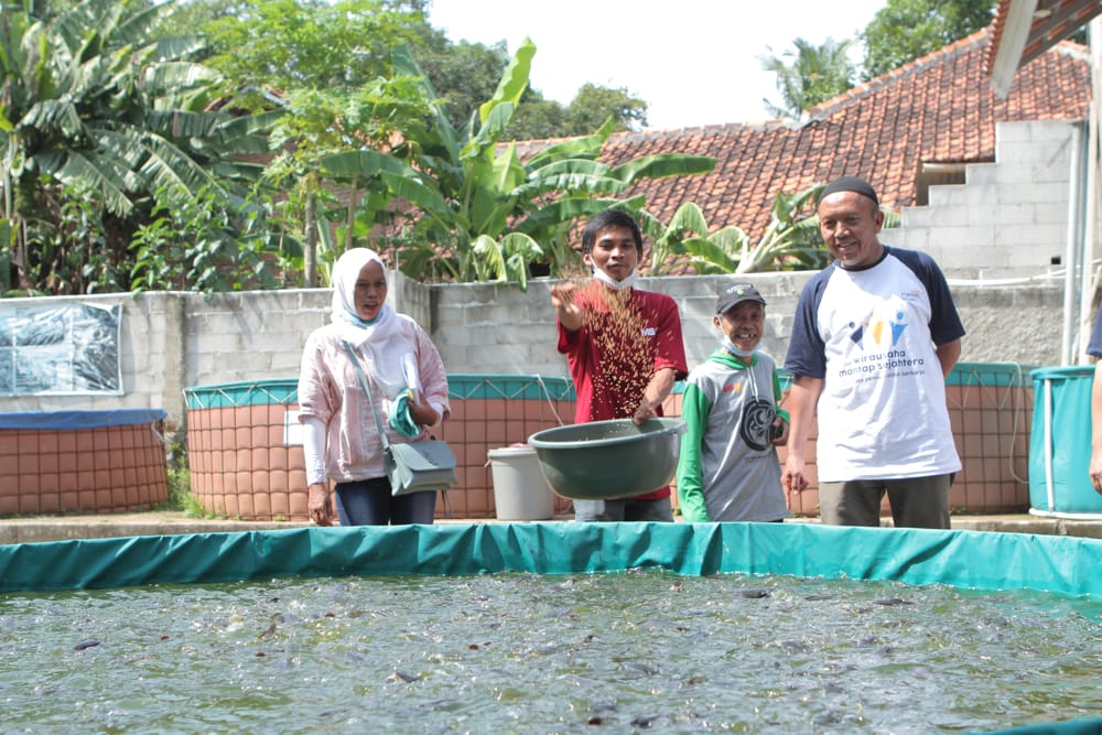 Manajemen Pakan dan Pemberian Nutrisi dalam Sistem Bioflok