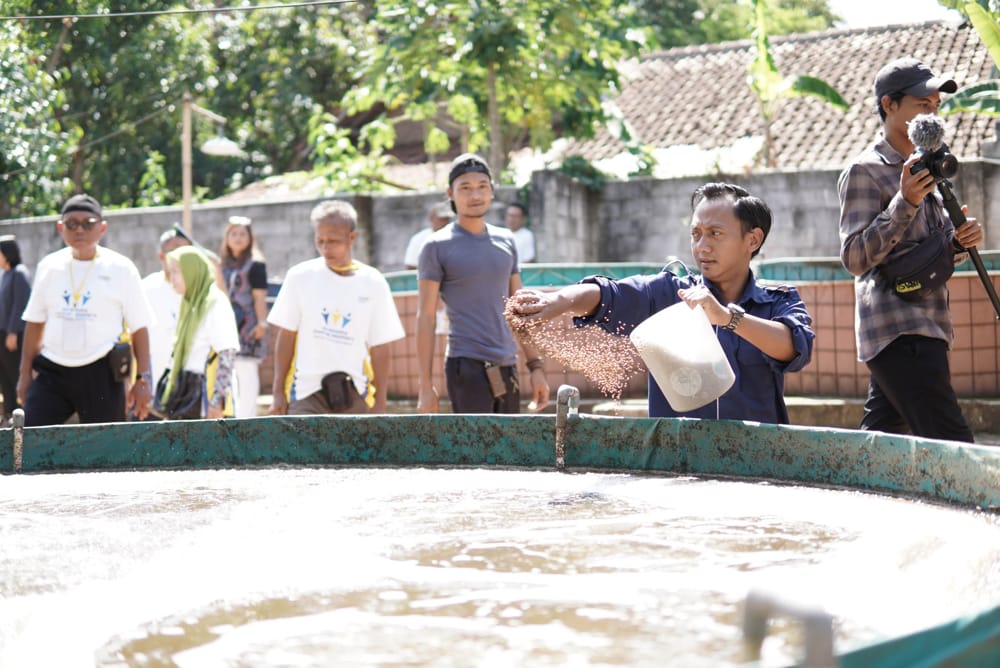 Panduan Lengkap Pakan Ikan Nila untuk Pertumbuhan Optimal