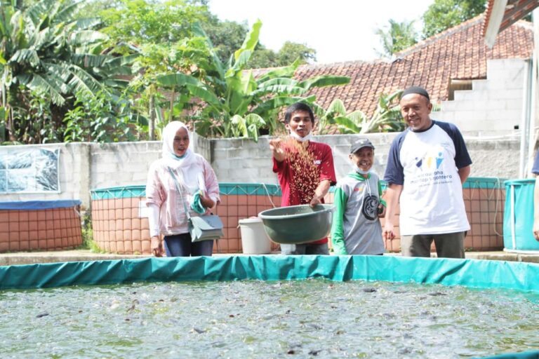 pelatihan budidaya ikan nila kolam bioflok
