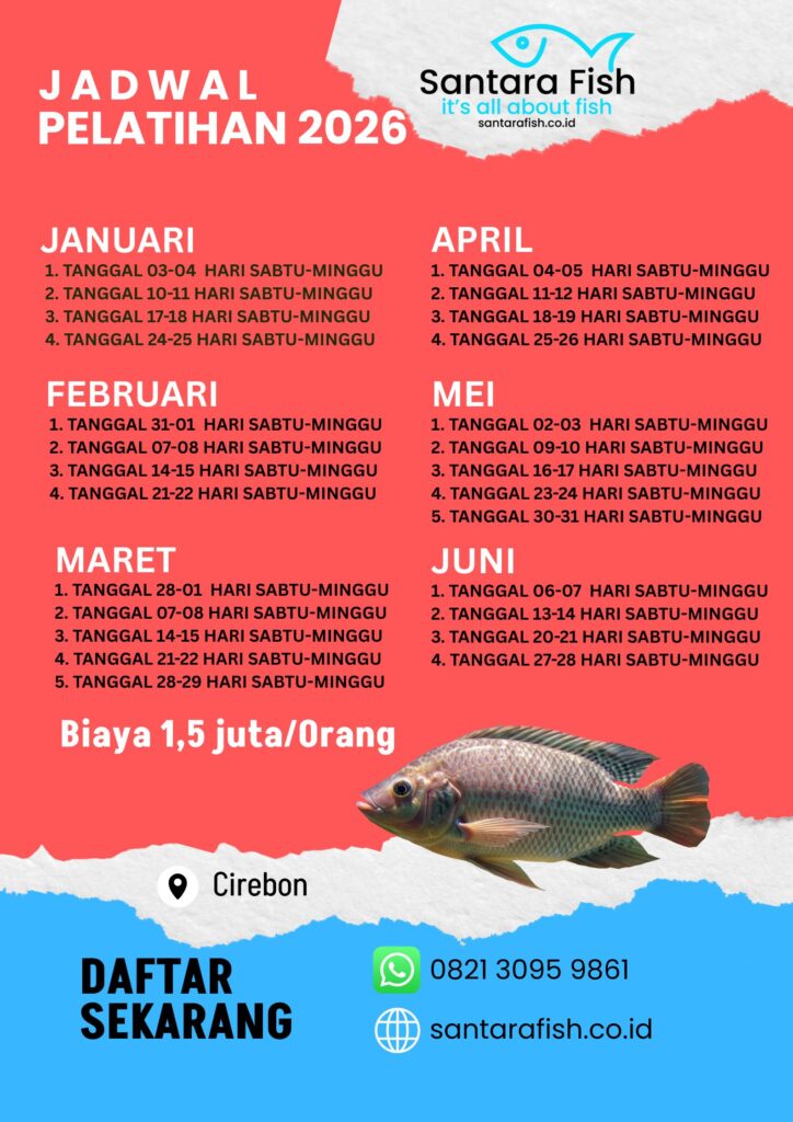 jadwal pelatihan budidaya ikan januari juni 2026 