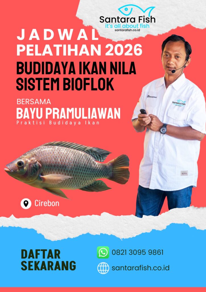 jadwal pelatihan budidaya ikan 2026