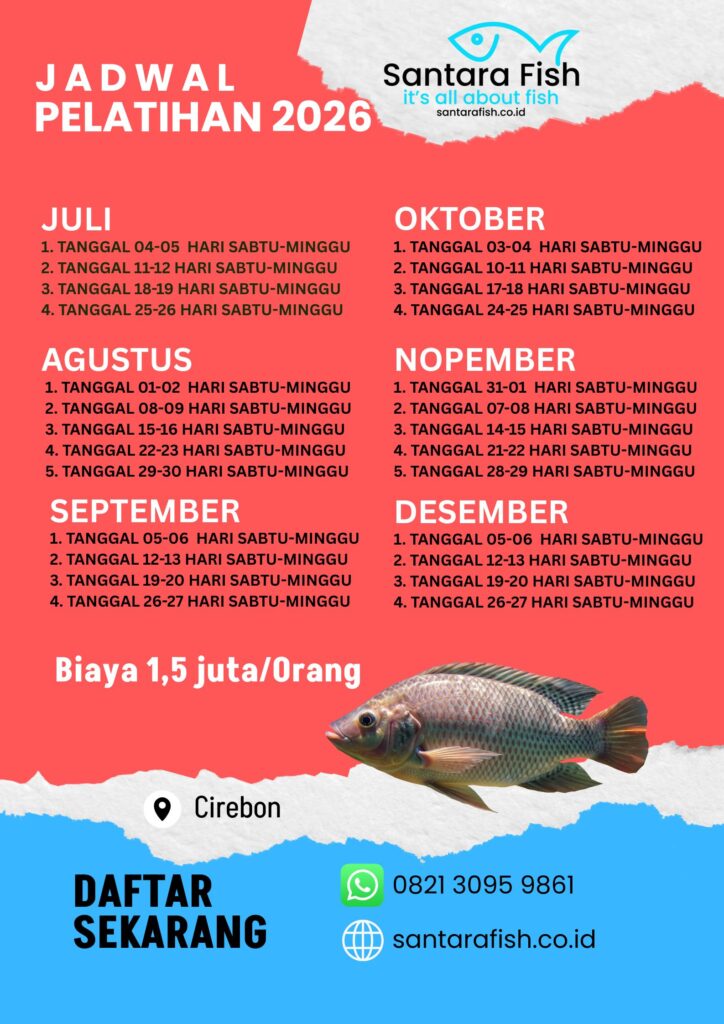 jadwal pelatihan budidaya ikan juli desember 2026