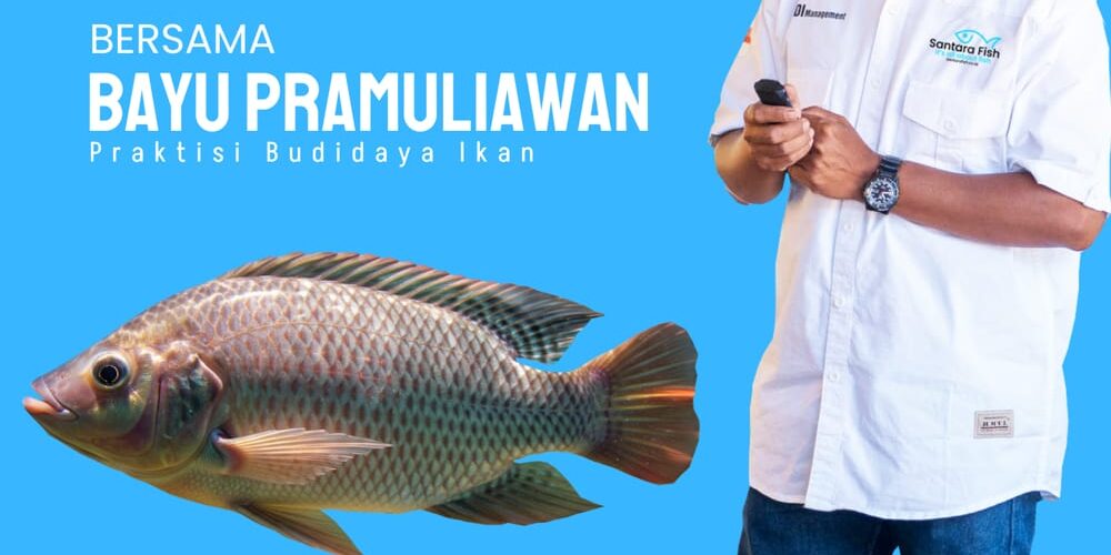 pelatihan budidaya ikan sistem bioflok