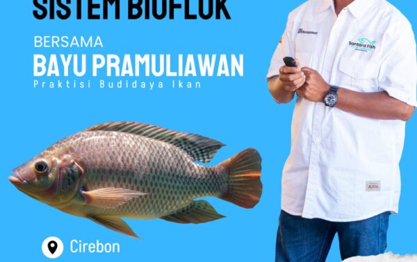 pelatihan budidaya ikan sistem bioflok