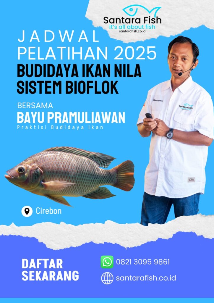 pelatihan budidaya ikan sistem bioflok