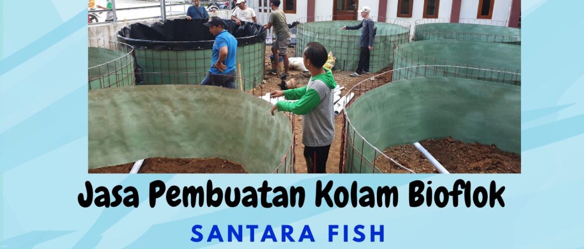 Jasa Pembuatan Kolam Bioflok Profesional