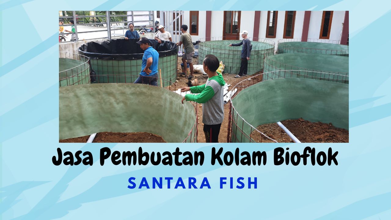 Jasa Pembuatan Kolam Bioflok Profesional