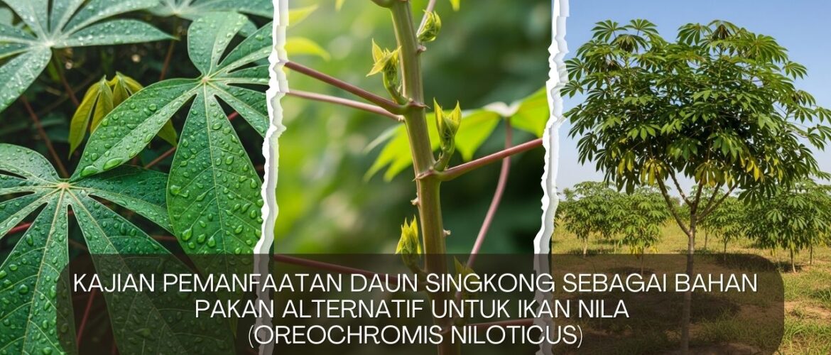 Kajian Pemanfaatan Daun Singkong sebagai Bahan Pakan Alternatif untuk Ikan Nila