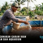 Cara Menggunakan Garam Ikan untuk Kolam dan Aquarium