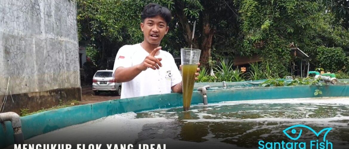 Mengukur Flok yang Ideal untuk Ikan Nila Sistem Bioflok