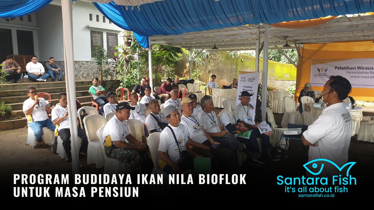 Program Budidaya Ikan Nila Bioflok untuk Masa Pensiun (1)