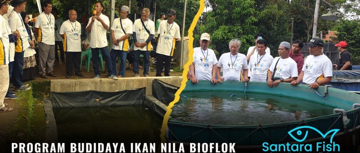 Program Budidaya Ikan Nila Bioflok untuk Masa Pensiun (3)
