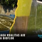 Cara Menjaga Kualitas Air Kolam Nila Bioflok