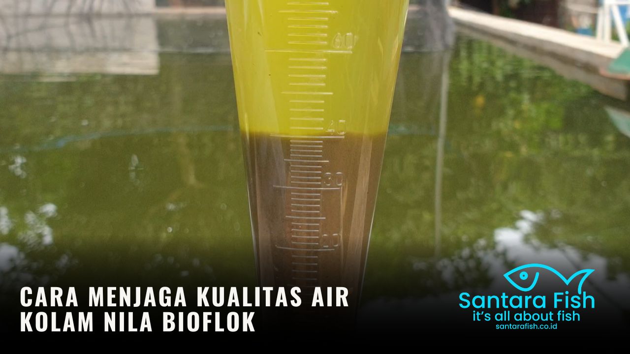 Parameter Penting Kualitas Air Kolam Bioflok