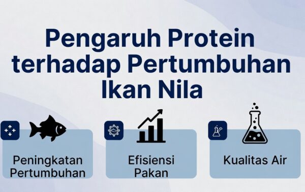 Pengaruh Protein terhadap Pertumbuhan Ikan Nila