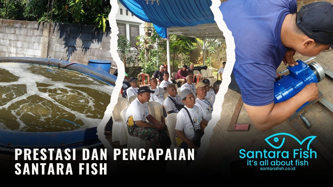 Prestasi dan Pencapaian Santara Fish